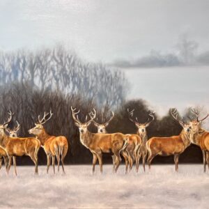 Conclave - Original